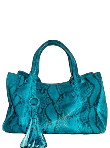 Aegean teal python leather structured mini handbag with tassel